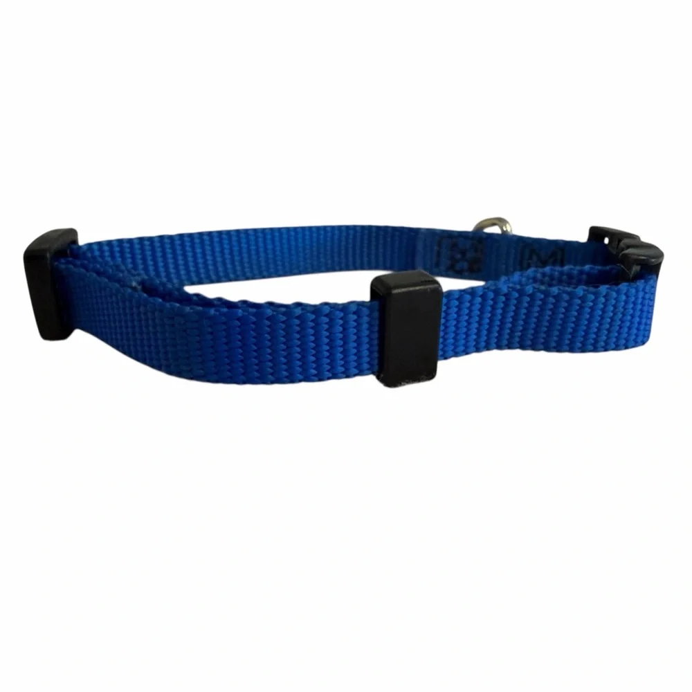 Small Blue Nylon Adjustable Dog/Cat Collar 12”& 46” Matching Leash